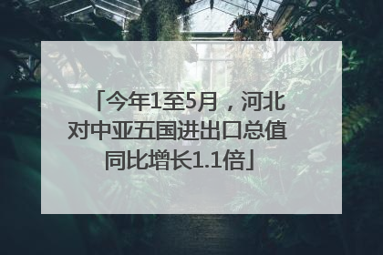 今年1至5月，河北对中亚五国进出口总值同比增长1.1倍
