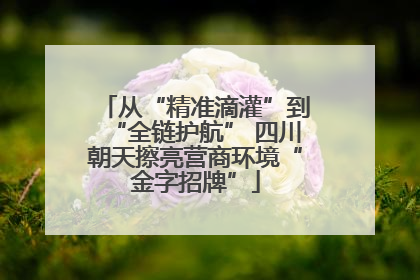 从“精准滴灌”到“全链护航” 四川朝天擦亮营商环境“金字招牌”