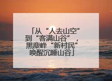 从“人去山空”到“客满山谷”，黑麋峰“新村民”唤醒沉睡山谷