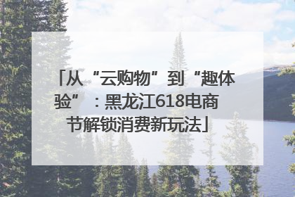 从“云购物”到“趣体验”：黑龙江618电商节解锁消费新玩法