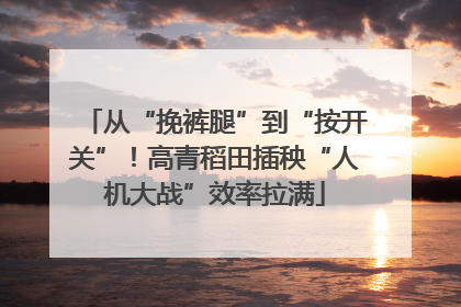 从“挽裤腿”到“按开关”！高青稻田插秧“人机大战”效率拉满