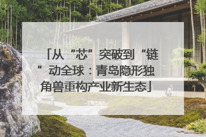 从“芯”突破到“链”动全球：青岛隐形独角兽重构产业新生态