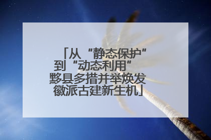 从“静态保护”到“动态利用” 黟县多措并举焕发徽派古建新生机