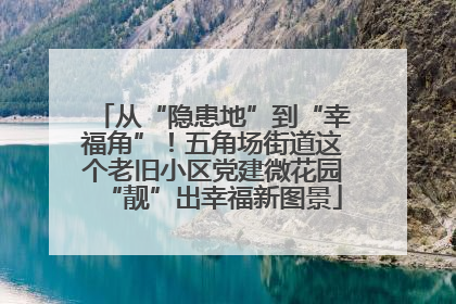 从“隐患地”到“幸福角”！五角场街道这个老旧小区党建微花园“靓”出幸福新图景