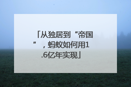 从独居到“帝国”，蚂蚁如何用1.6亿年实现
