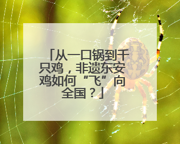从一口锅到千只鸡，非遗东安鸡如何“飞”向全国？