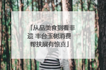 从品美食到看非遗 丰台玉树消费帮扶展有惊喜