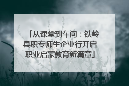从课堂到车间：铁岭县职专师生企业行开启职业启蒙教育新篇章