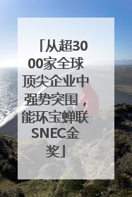 从超3000家全球顶尖企业中强势突围，能环宝蝉联SNEC金奖