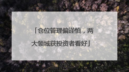 仓位管理偏谨慎，两大领域获投资者看好