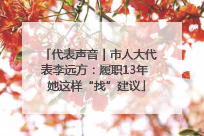 代表声音｜市人大代表李远方：履职13年 她这样“找”建议