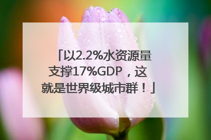 以2.2%水资源量支撑17%GDP，这就是世界级城市群！