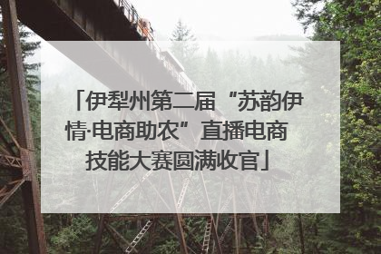 伊犁州第二届“苏韵伊情·电商助农”直播电商技能大赛圆满收官