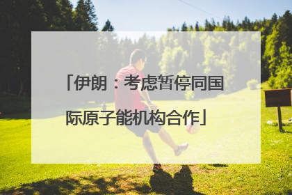 伊朗：考虑暂停同国际原子能机构合作