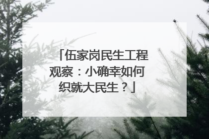 伍家岗民生工程观察：小确幸如何织就大民生？
