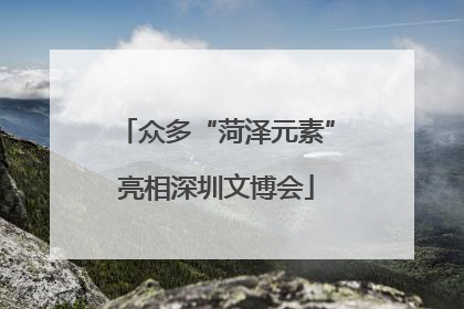 众多“菏泽元素”亮相深圳文博会