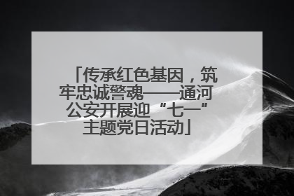 传承红色基因，筑牢忠诚警魂——通河公安开展迎“七一”主题党日活动