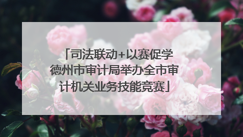 司法联动+以赛促学 德州市审计局举办全市审计机关业务技能竞赛
