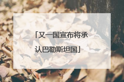 又一国宣布将承认巴勒斯坦国