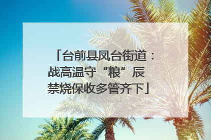台前县凤台街道：战高温守“粮”辰 禁烧保收多管齐下