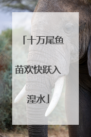 十万尾鱼苗欢快跃入湟水