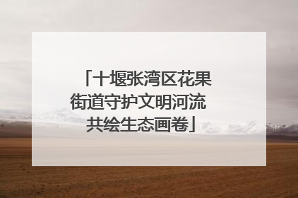 十堰张湾区花果街道守护文明河流 共绘生态画卷