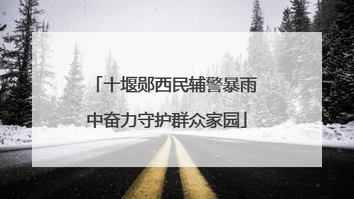 十堰郧西民辅警暴雨中奋力守护群众家园