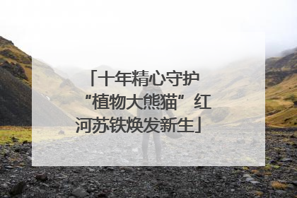 十年精心守护 “植物大熊猫”红河苏铁焕发新生