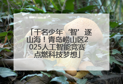 千名少年‘智’逐山海！青岛崂山区2025人工智能竞赛点燃科技梦想