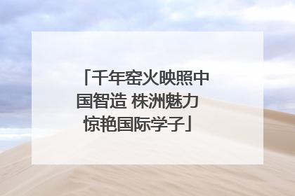 千年窑火映照中国智造 株洲魅力惊艳国际学子