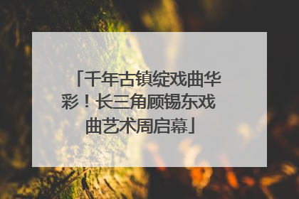 千年古镇绽戏曲华彩！长三角顾锡东戏曲艺术周启幕