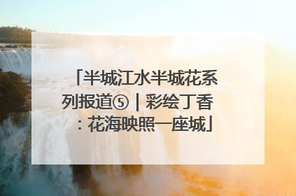 半城江水半城花系列报道⑤｜彩绘丁香：花海映照一座城