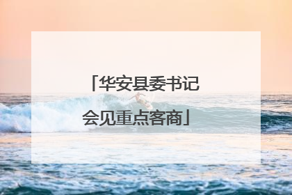 华安县委书记会见重点客商