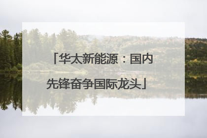 华太新能源：国内先锋奋争国际龙头