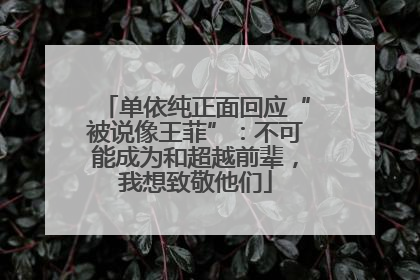 单依纯正面回应“被说像王菲”：不可能成为和超越前辈，我想致敬他们