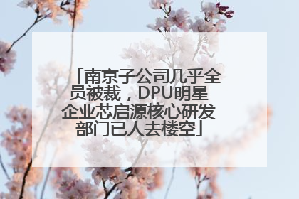 南京子公司几乎全员被裁，DPU明星企业芯启源核心研发部门已人去楼空