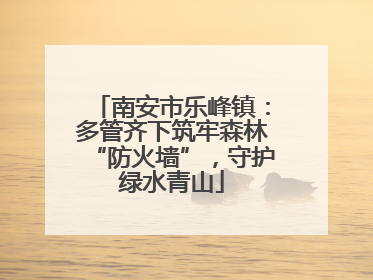南安市乐峰镇：多管齐下筑牢森林“防火墙”，守护绿水青山