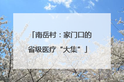 南岳村：家门口的省级医疗“大集”