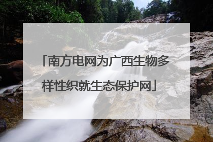 南方电网为广西生物多样性织就生态保护网