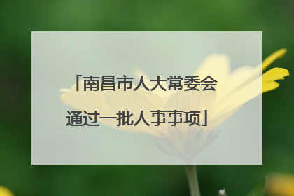 南昌市人大常委会通过一批人事事项