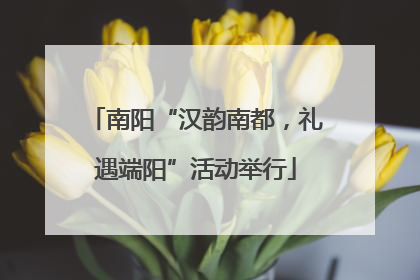 南阳“汉韵南都，礼遇端阳”活动举行