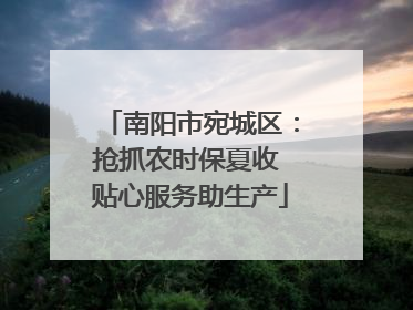 南阳市宛城区：抢抓农时保夏收 贴心服务助生产