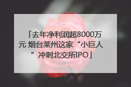 去年净利润超8000万元 烟台莱州这家“小巨人”冲刺北交所IPO