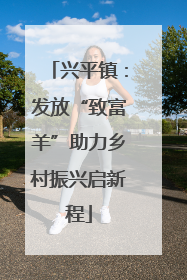 兴平镇：发放“致富羊”助力乡村振兴启新程