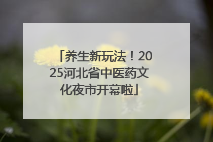 养生新玩法！2025河北省中医药文化夜市开幕啦