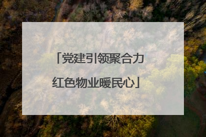 党建引领聚合力 红色物业暖民心
