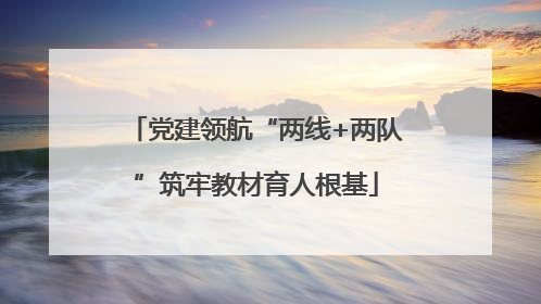 党建领航“两线+两队”筑牢教材育人根基