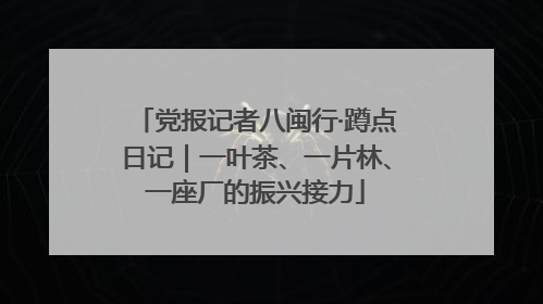 党报记者八闽行·蹲点日记｜一叶茶、一片林、一座厂的振兴接力