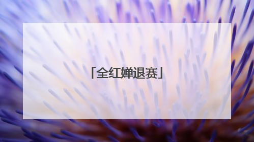 全红婵退赛