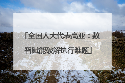 全国人大代表高亚：数智赋能破解执行难题